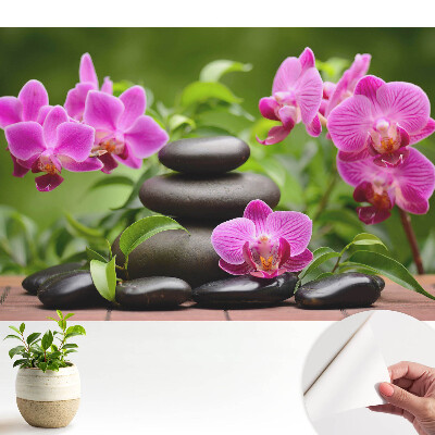 Flori și pietre într-un aranjament armonios