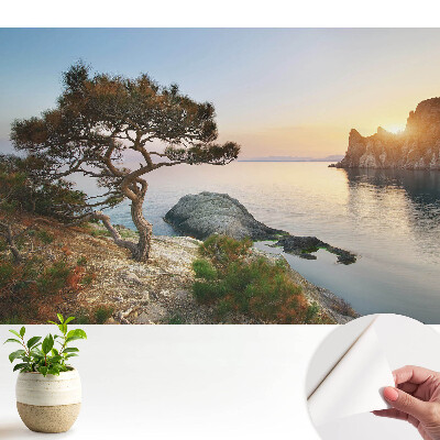 Apus de soare pitoresc peste stâncă