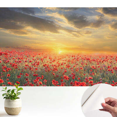 Un câmp de maci dimineața, un apus de soare uimitor