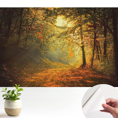 Magia pădurii de toamnă