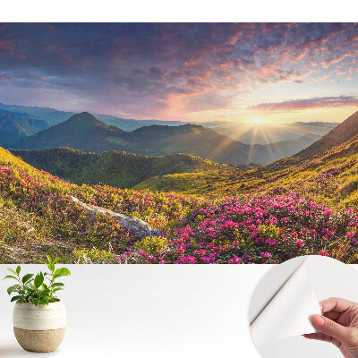 Peisaj montan în soare