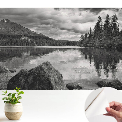 Peisaj montan lac copaci