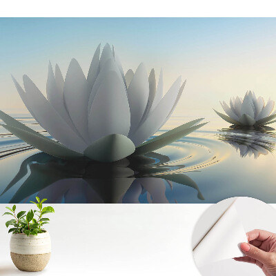 Armonie acvatică a nuferilor delicați