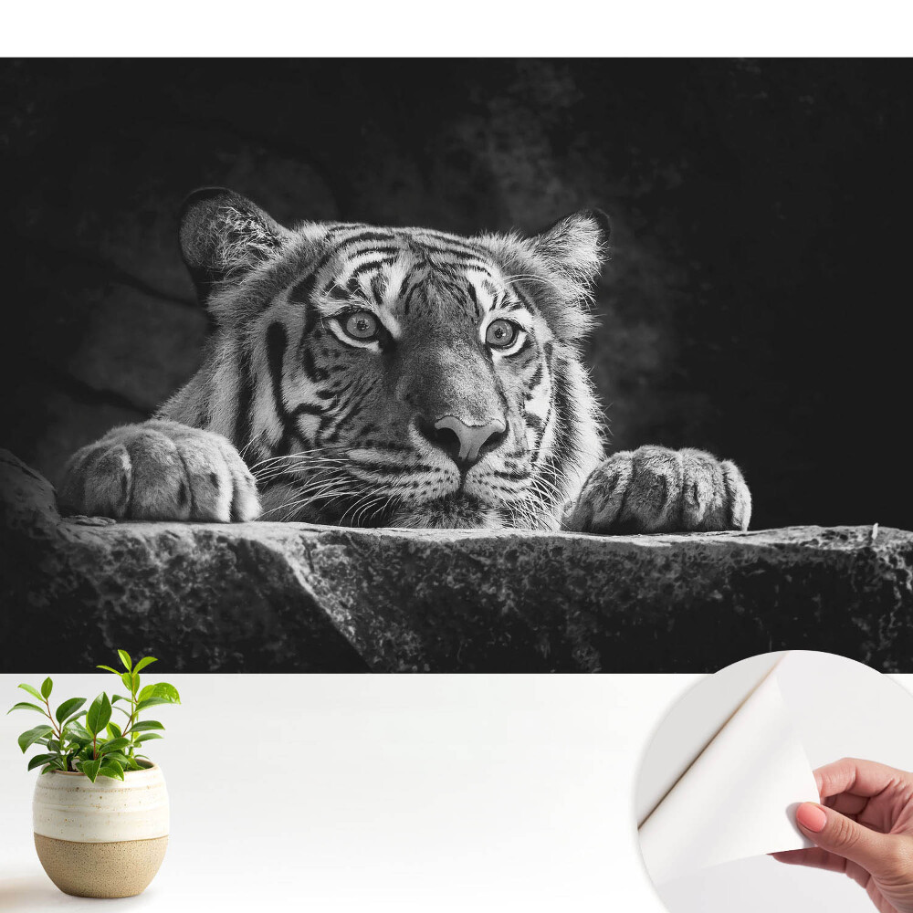 Tigru în alb și negru