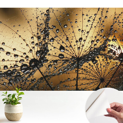 Picături elegante pe plasă în lumină