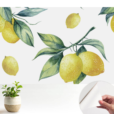 Model de lămâie verde suculent