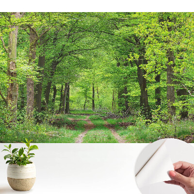 Peisaj armonios de pădure verde