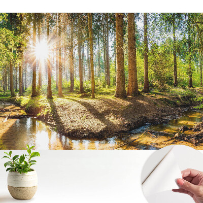 Soare radiant într-un peisaj forestier