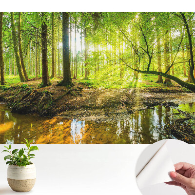 Pace în pădure cu lumină și pârâu