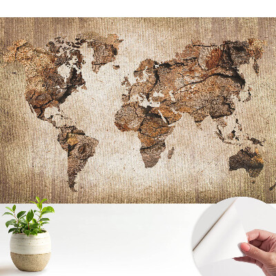 Hartă rustică a lumii
