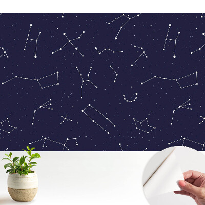 Model de noapte Cosmos