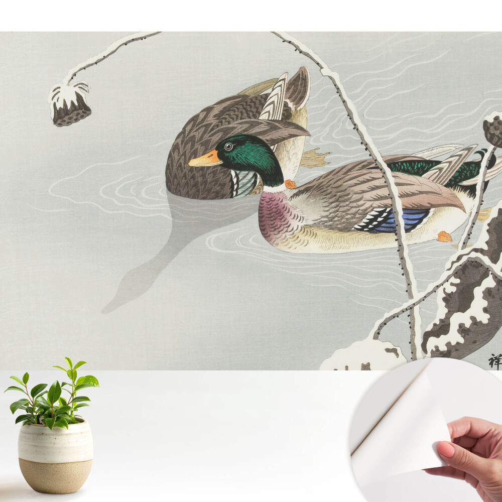 Două rațe pe apă într-un stil clasic