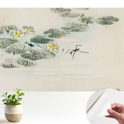 Nuferi pe fundalul apei