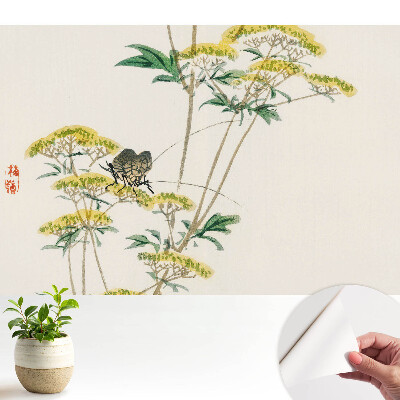 Flori subtile, insecte, armonie, natură