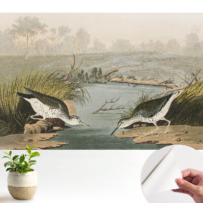 Păsări lângă lac, armonia naturii