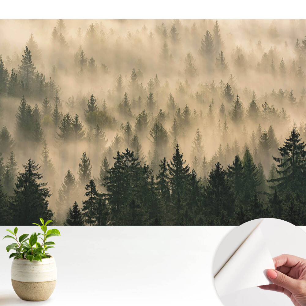 Pădurea în ceața dimineții