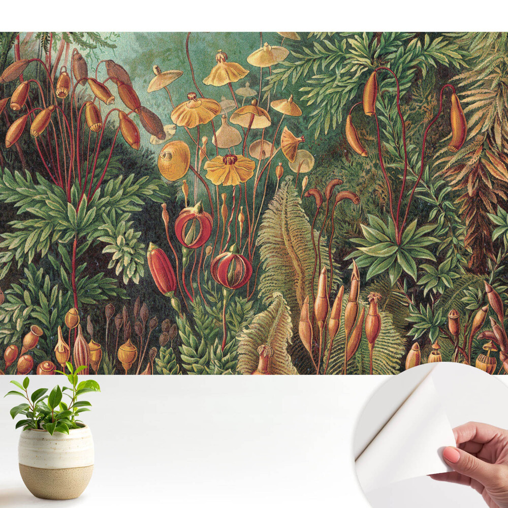 Vegetație exotică într-o compoziție armonioasă