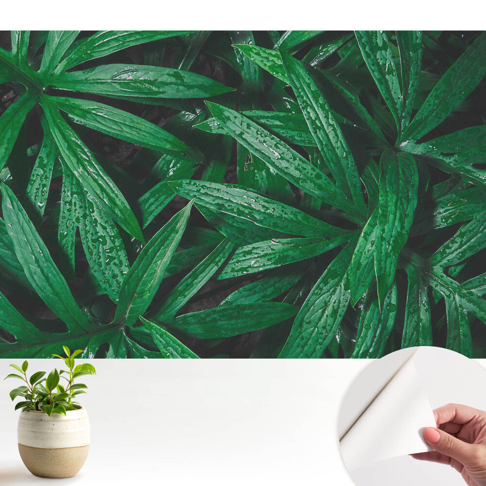 Prim-plan al frunzelor