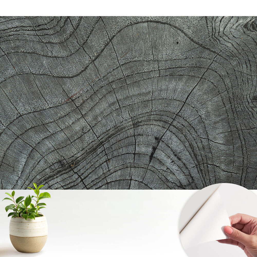 Simetrie rustică a fibrei lemnului