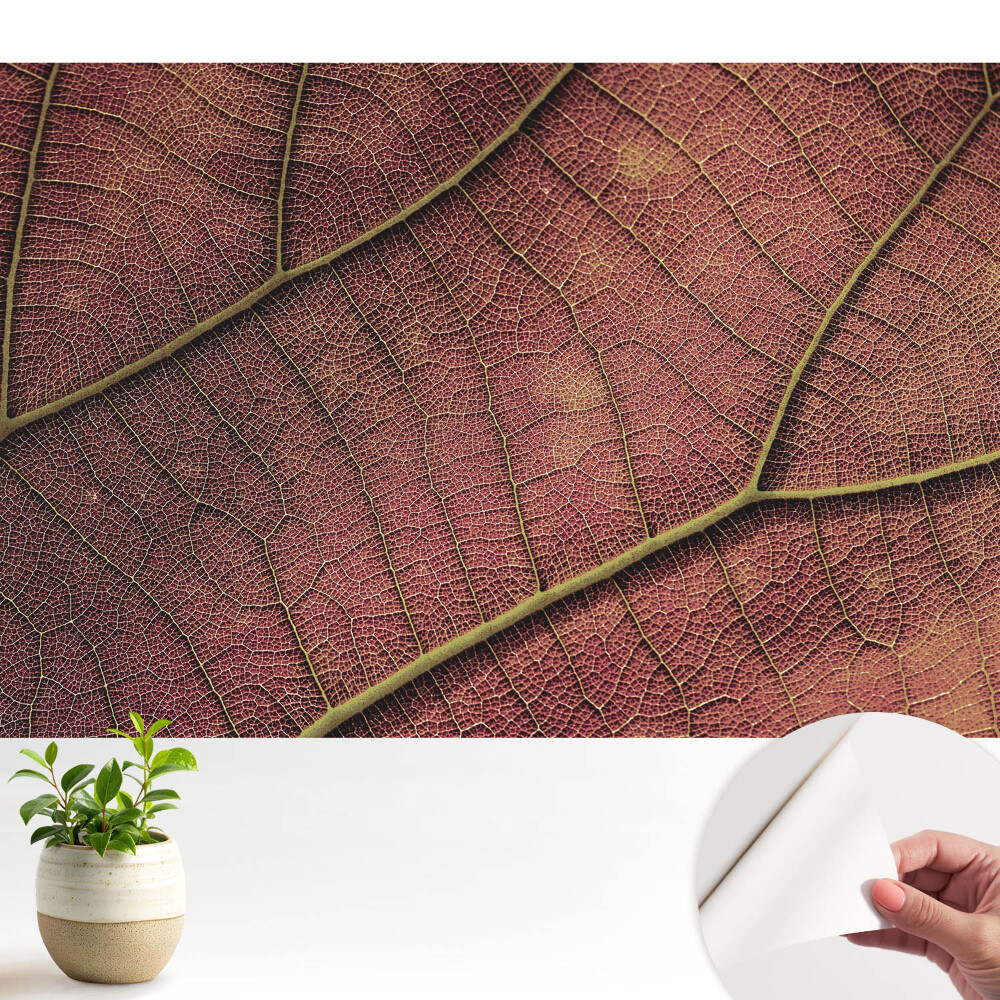 Structura frunzei este plină de detalii și culori