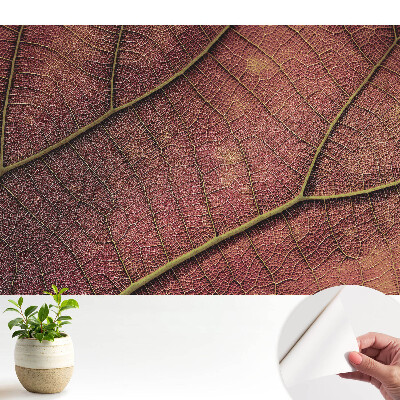 Structura frunzei este plină de detalii și culori