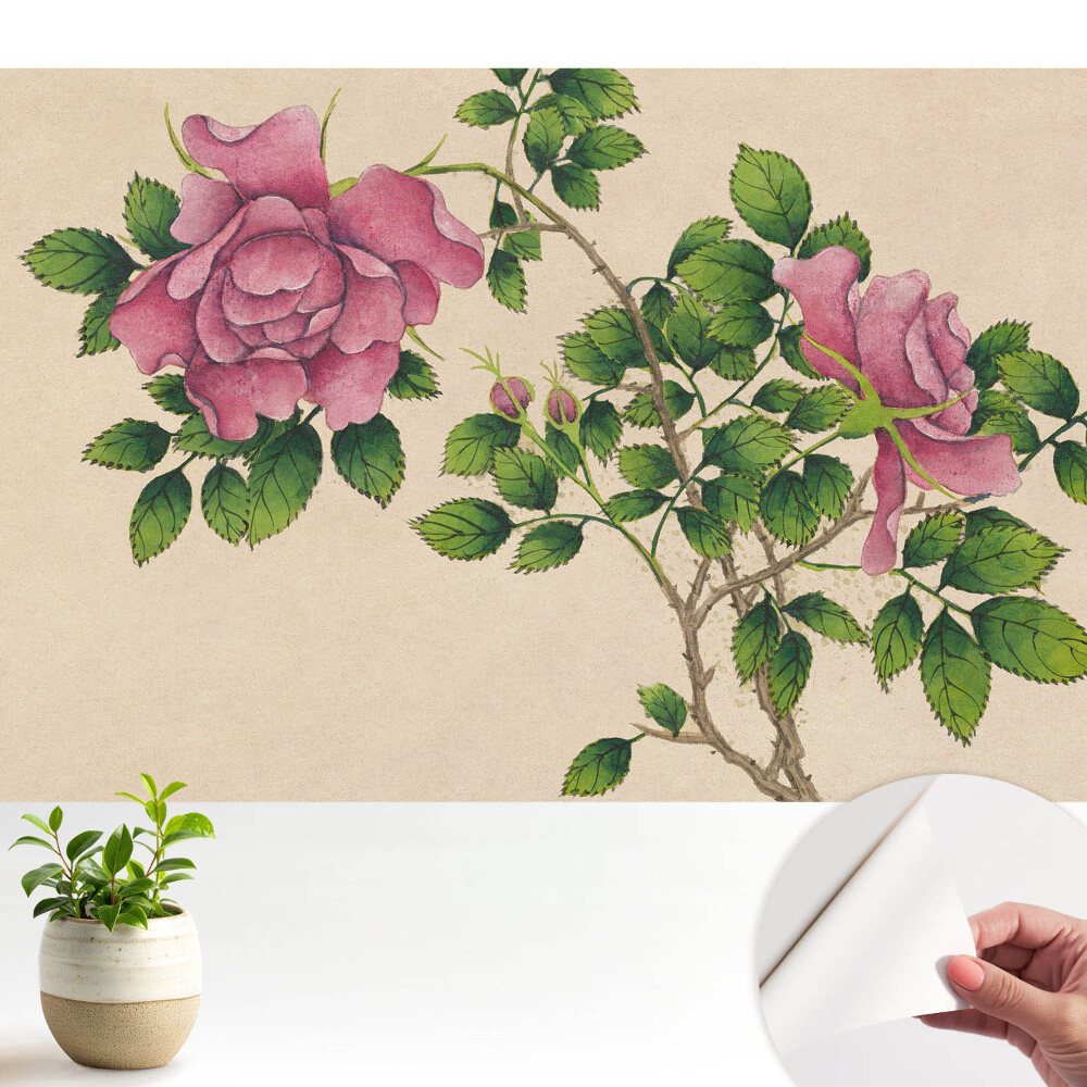 Frumusețea trandafirului într-un stil clasic