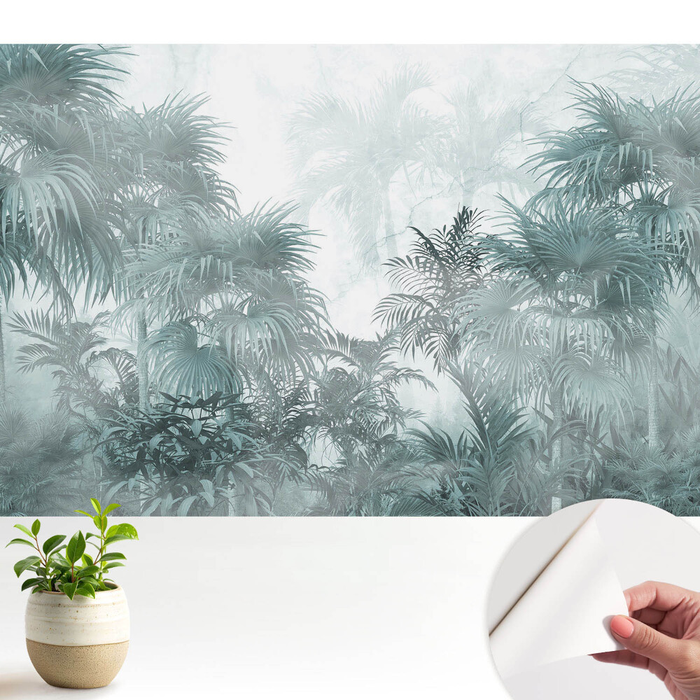 Pădurea tropicală de nori