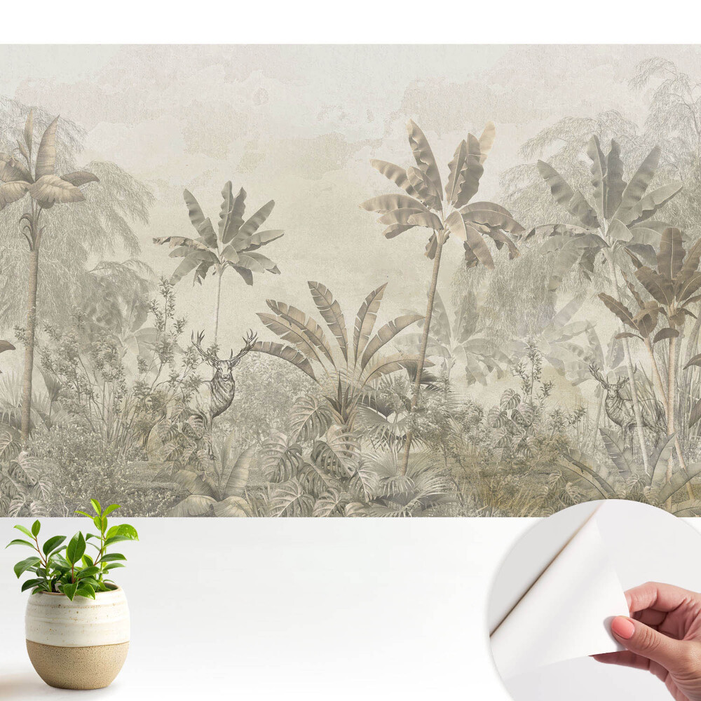 Palmieri exotici în nuanțe calde