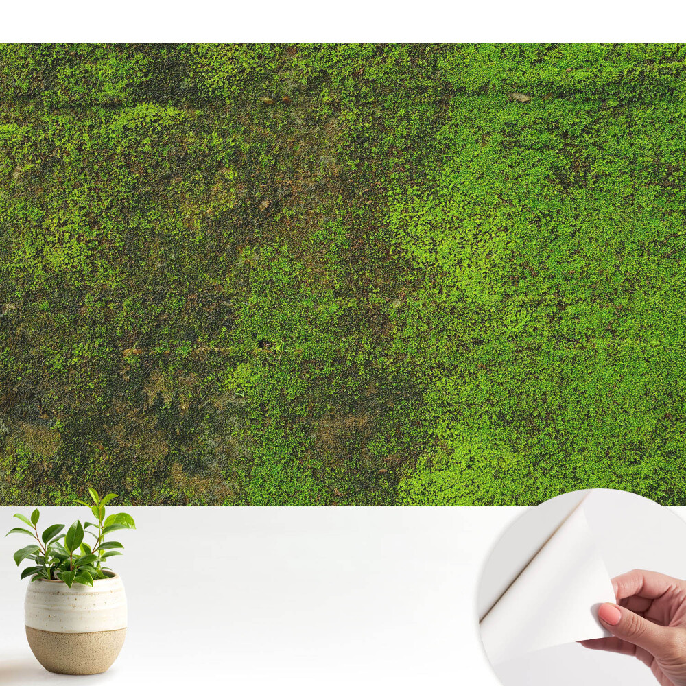 Textură organică de mușchi