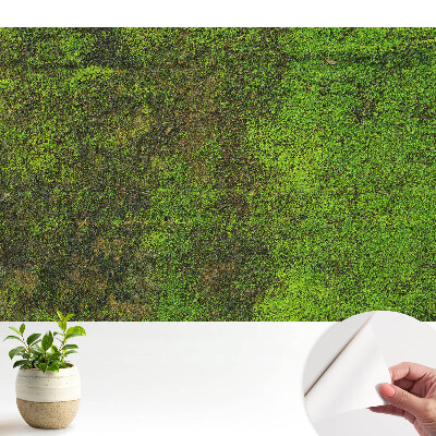 Textură organică de mușchi