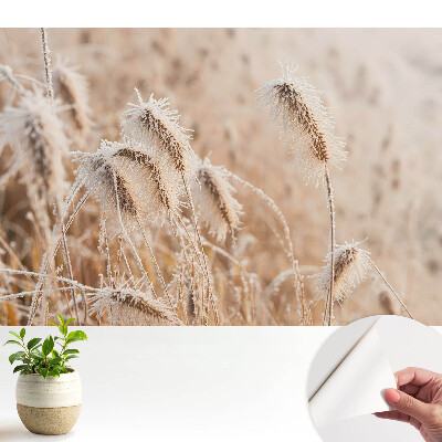 Îngheț pe iarbă frumusețea iernii natură