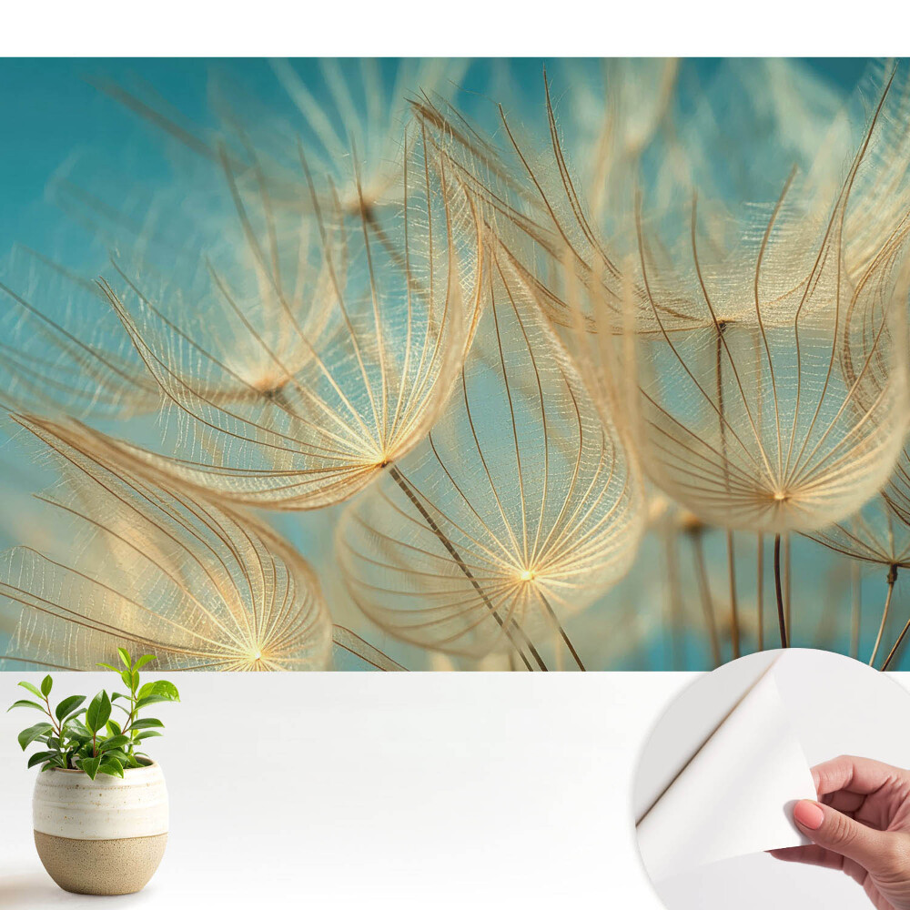 Subtilitatea naturii, modelul armonios, delicatețea