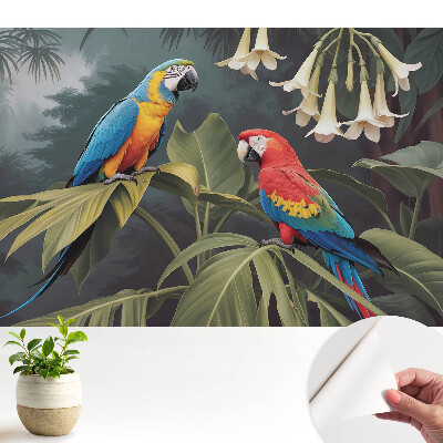 Papagali tropicali, culori exotice