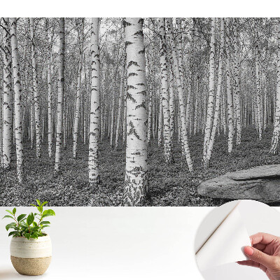 pacea pădurii de mesteacăn, armonia naturii