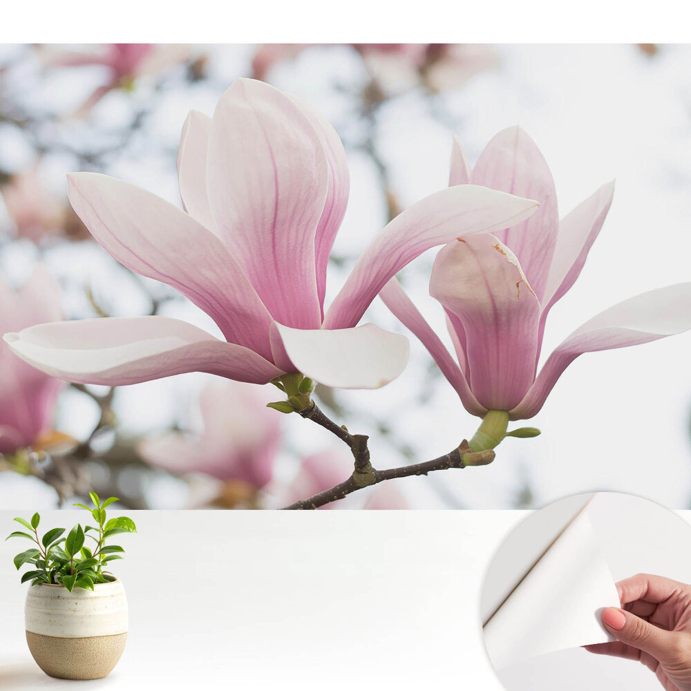 Magnolii roz, natură romantică