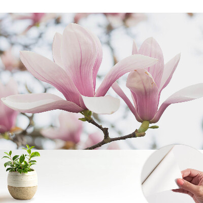 Magnolii roz în stil natural și romantic