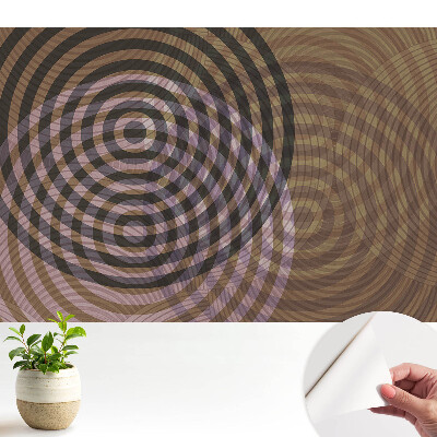 Cercuri concentrice retro modern