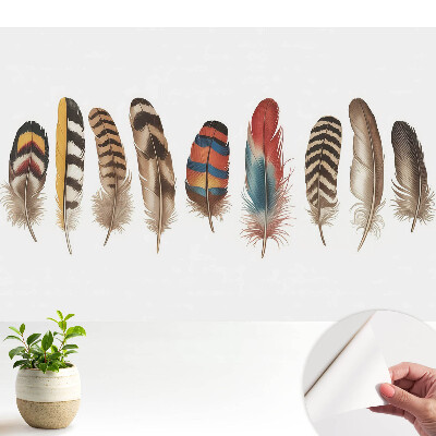 Pene colorate cu model boho unic