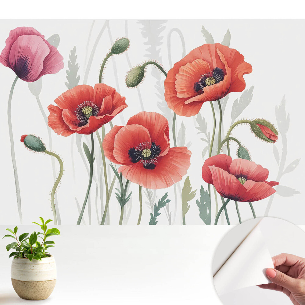 Maci botanici clasici.