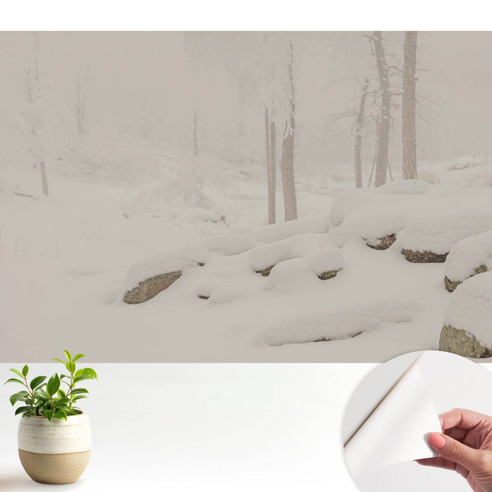 Peisaj de iarnă, pădure confortabilă