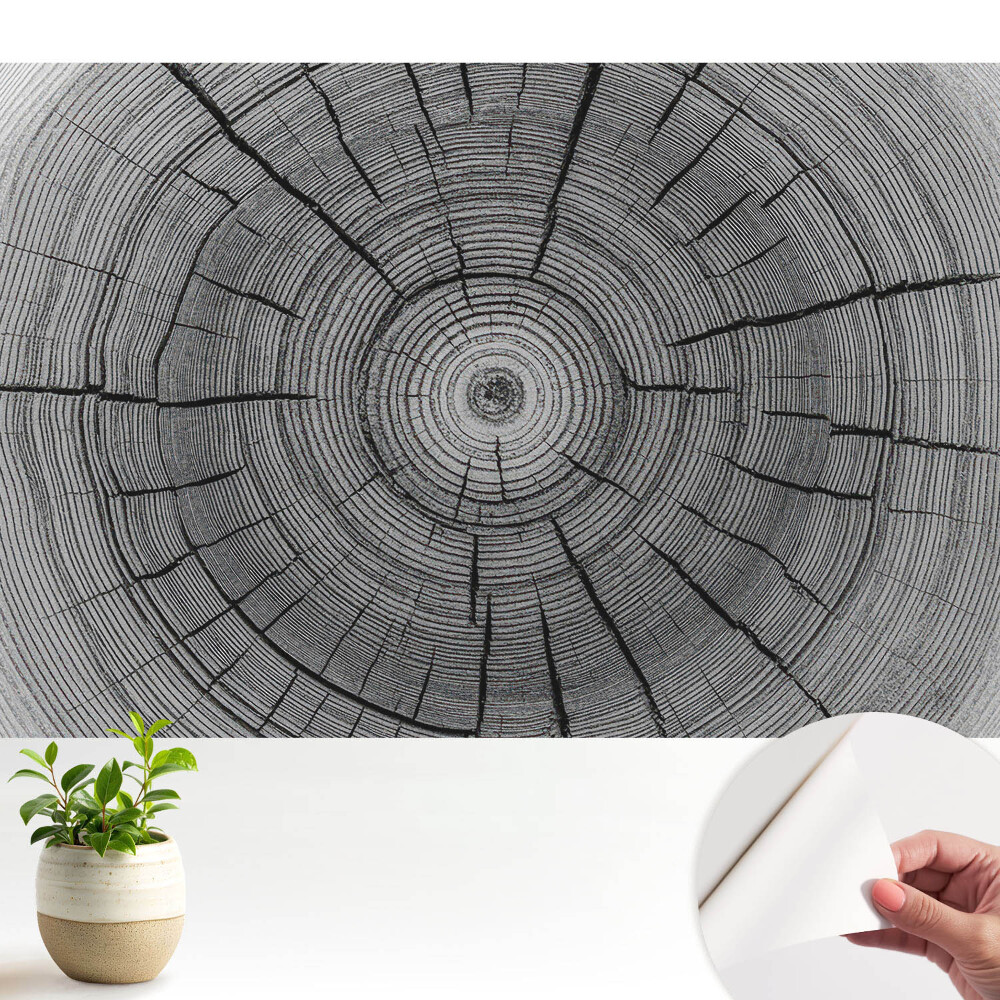 Compoziție simetrică cu cercuri de lemn