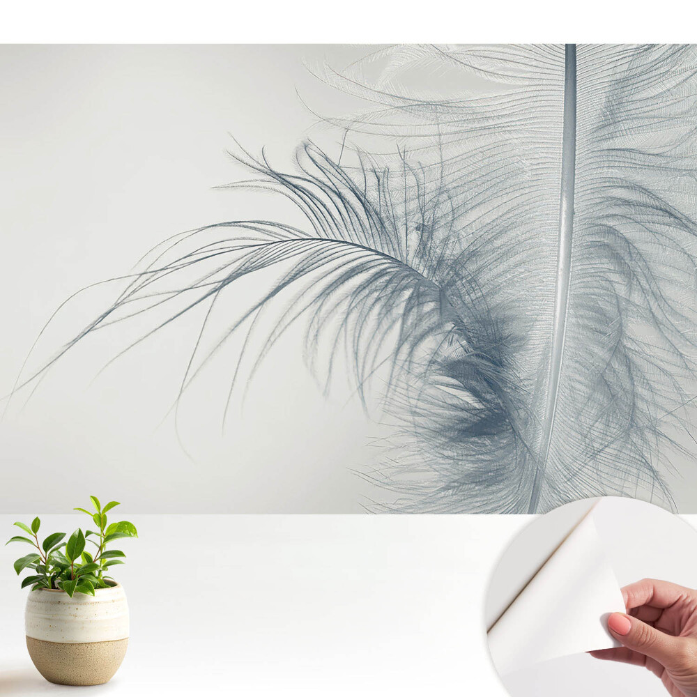 Motivul delicat al penei, ușurința și armonia