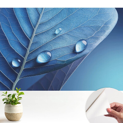 Frunză abstractă cu picături de apă