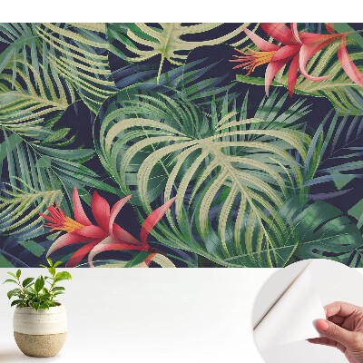 Climatul energetic al frunzelor tropicale