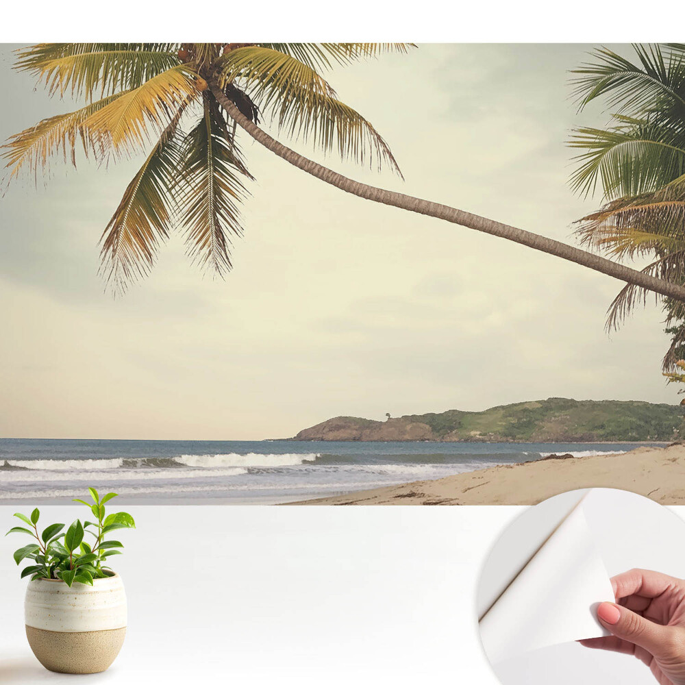 Palmier și plajă exotică