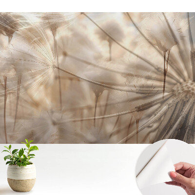 Păpădii eterice armonie a naturii