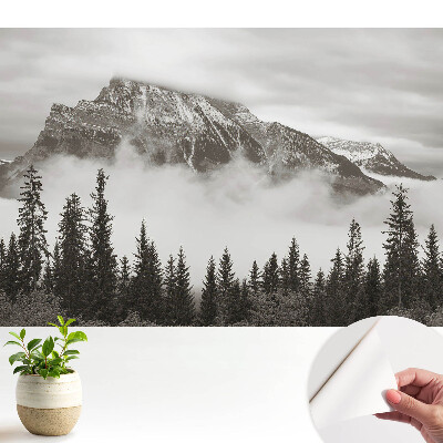 Peisaj montan înconjurat de ceață