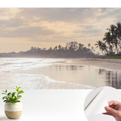 O plajă liniștită cu palmieri