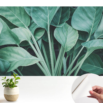 Frunze verzi, armonie a naturii