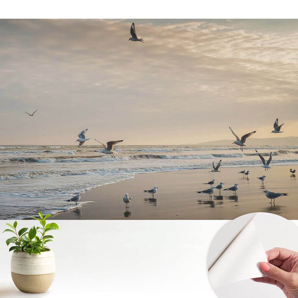 Pescăruși pe malul mării la apus